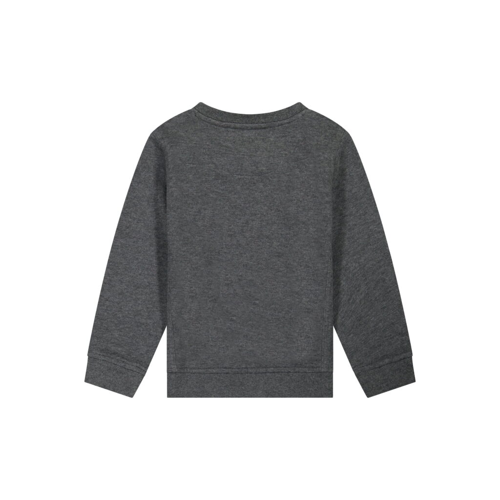 Reebok Toddler Boy Fleece Crewneck Sweatshirt (Grey, 5T) 5dz46