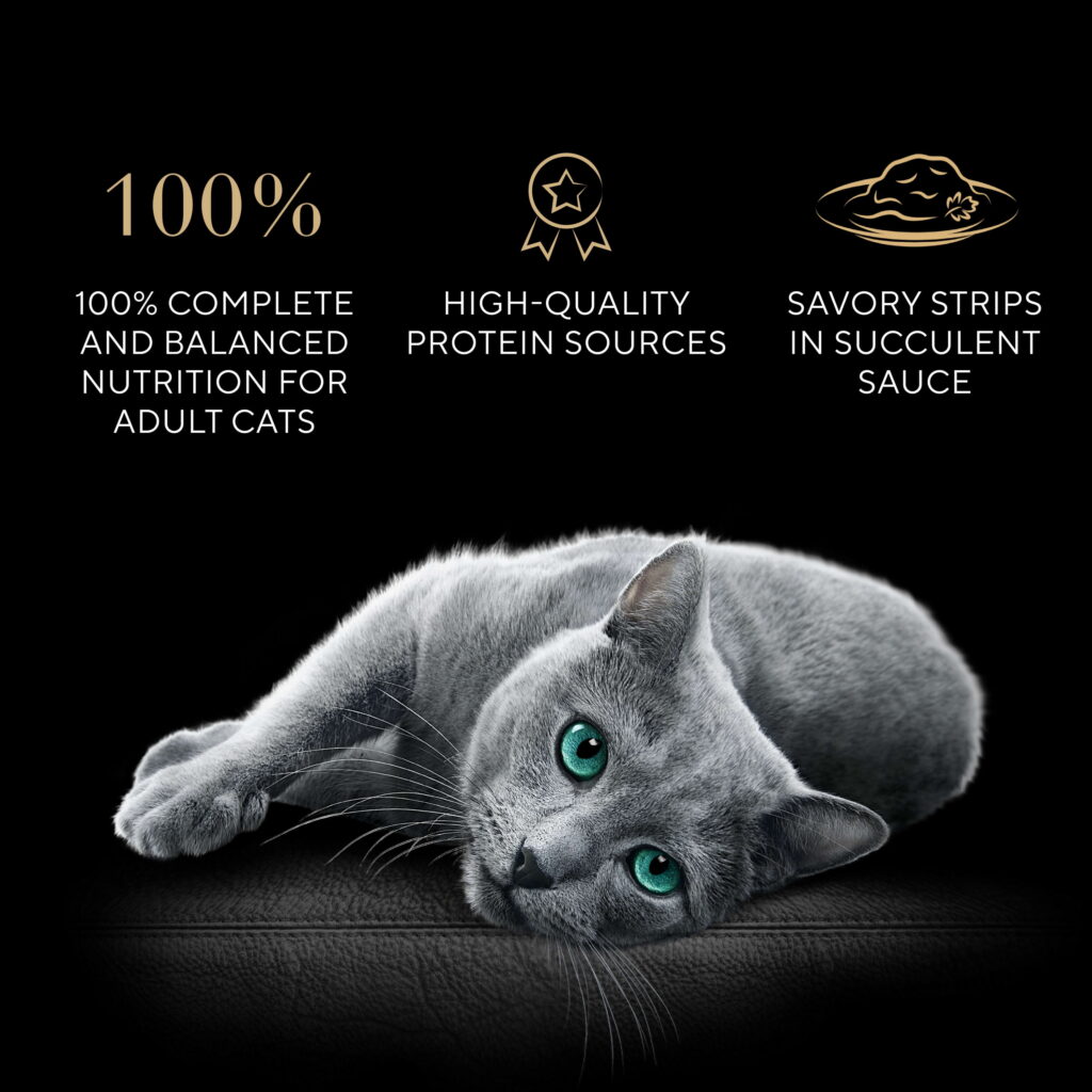 SHEBA Grilled Wet Cat Food, Flaky Salmon in Savory Gravy (2.6 oz) fkb92