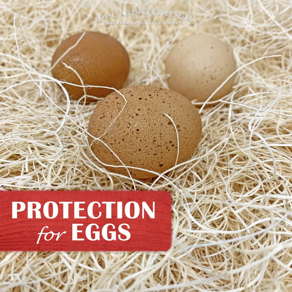Pecking Order Chicken Nest Box Pads, Aspen Excelsior Wood Fiber Liners (Brown, 20 Pack, 13 in x 13 in) f2wwj