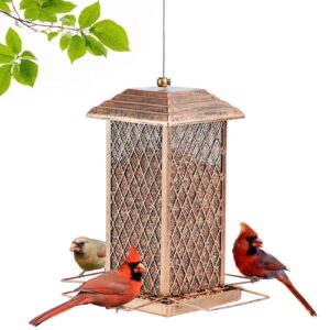 IWNTWY Metal Wild Bird Feeder for Outdoor Hanging, Heavy-Duty Garden Decor (Bronze, 3 lb) 2ww2u
