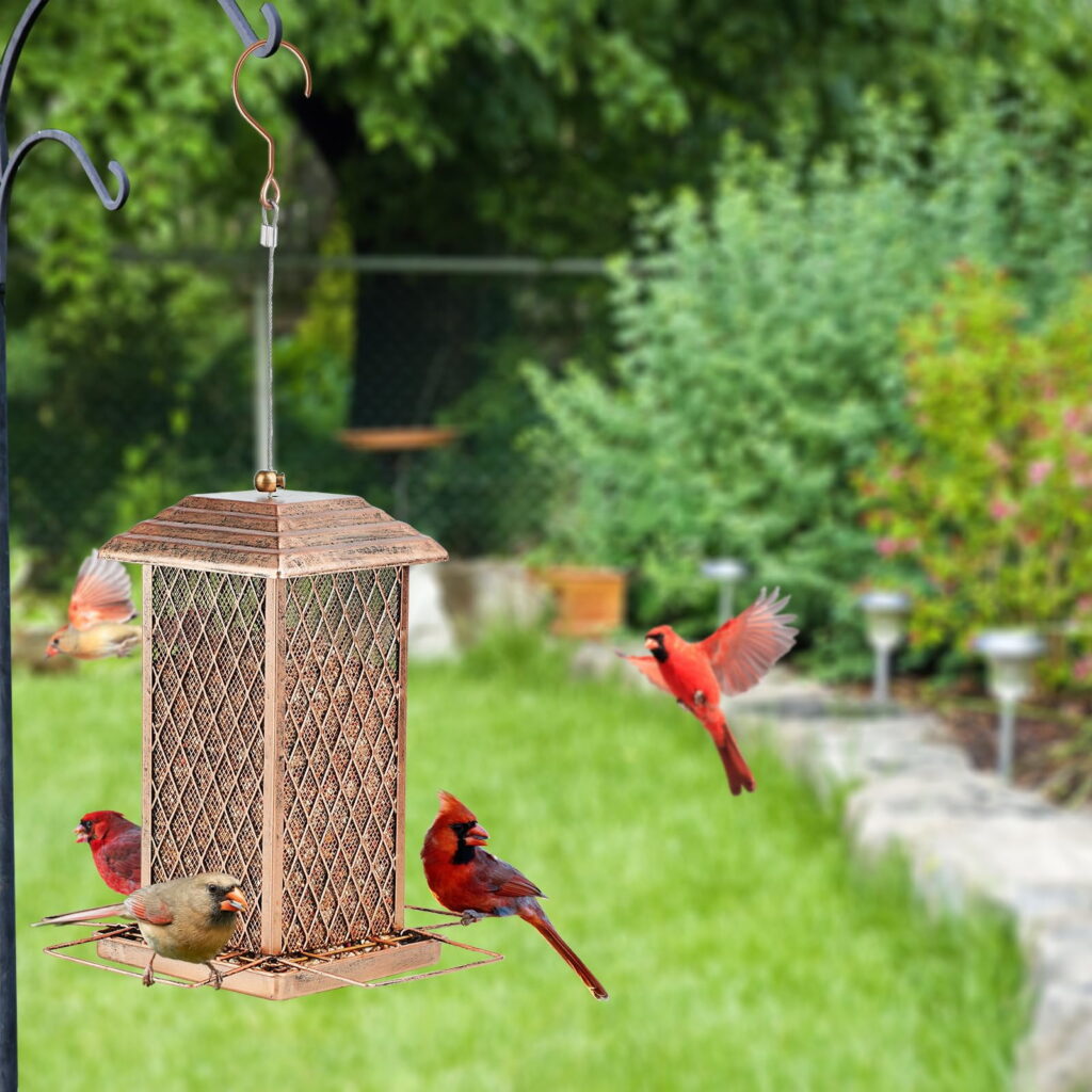IWNTWY Metal Wild Bird Feeder for Outdoor Hanging, Heavy-Duty Garden Decor (Bronze, 3 lb) 2ww2u