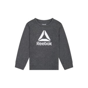 Reebok Toddler Boy Fleece Crewneck Sweatshirt (Grey, 5T) 5dz46