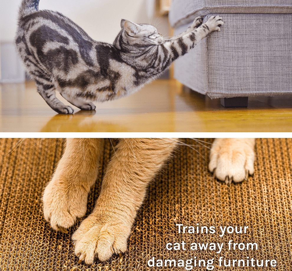 Kitty City Christmas Bows Cat Scratching Pad and Hideaway Paper Bag (Multicolored, One Size) dyhd9