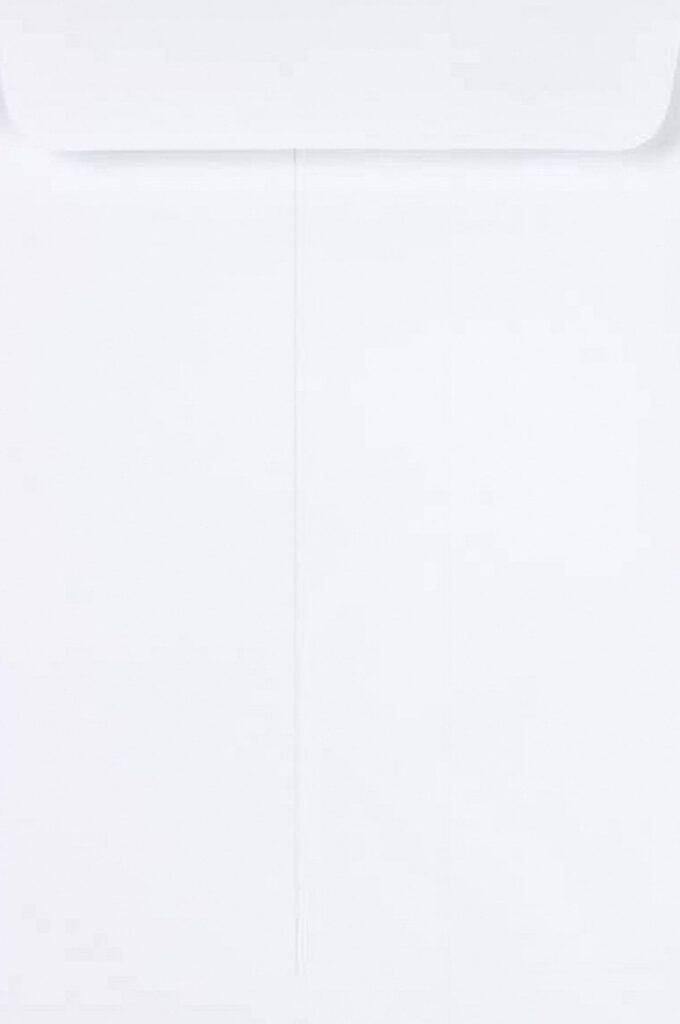 Luxpaper Open End Envelopes, Professional Mailing Supplies, White (6 in x 9 in, 50/Pack) 8rrf6