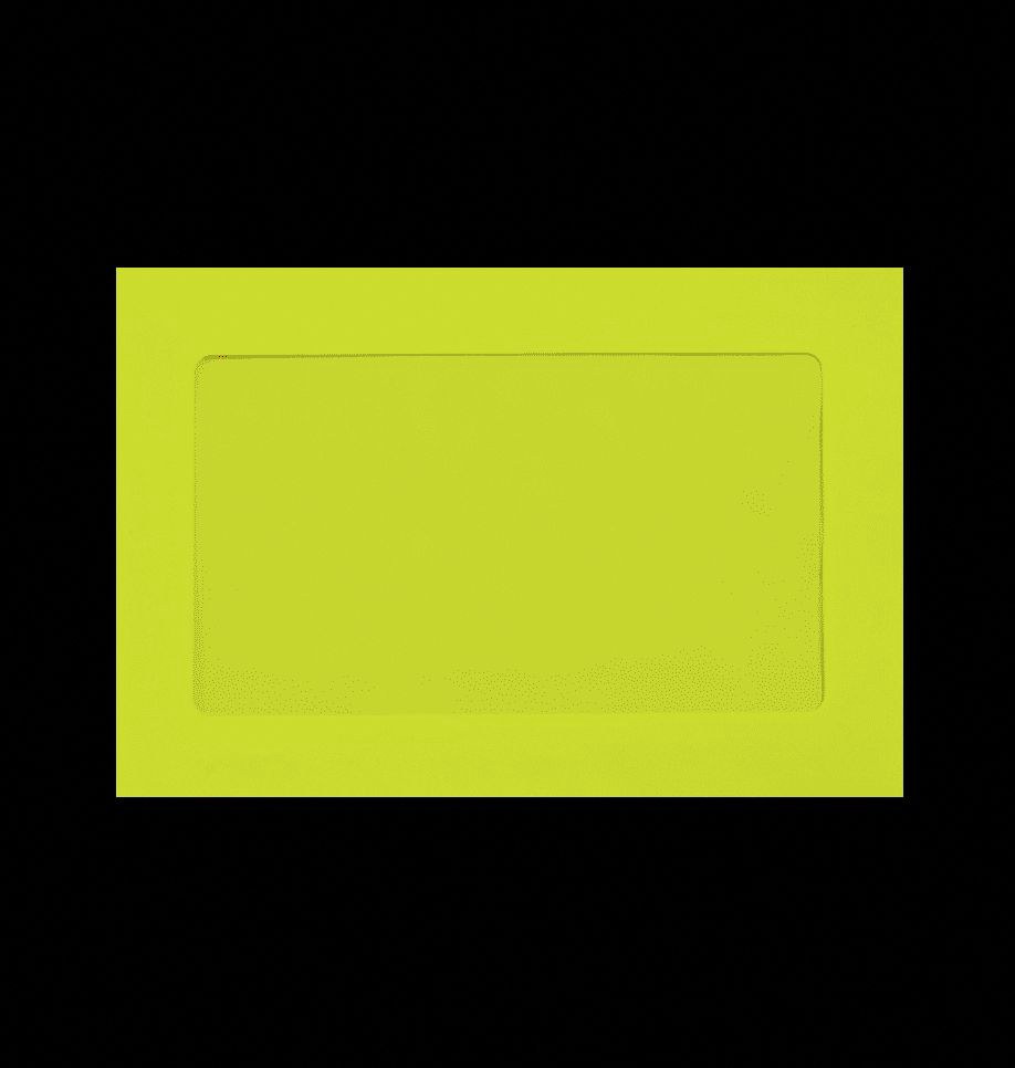 Luxpaper Full-Face Window Envelopes, Professional Mailing Supplies (Wasabi, 6 in x 9 in, 50 Pack) 72g75