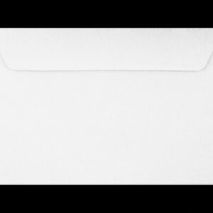 Luxpaper Booklet Envelopes, Professional Mailing Supplies, Durable White Finish (6 in x 9 in, 250 Pack) bwkji