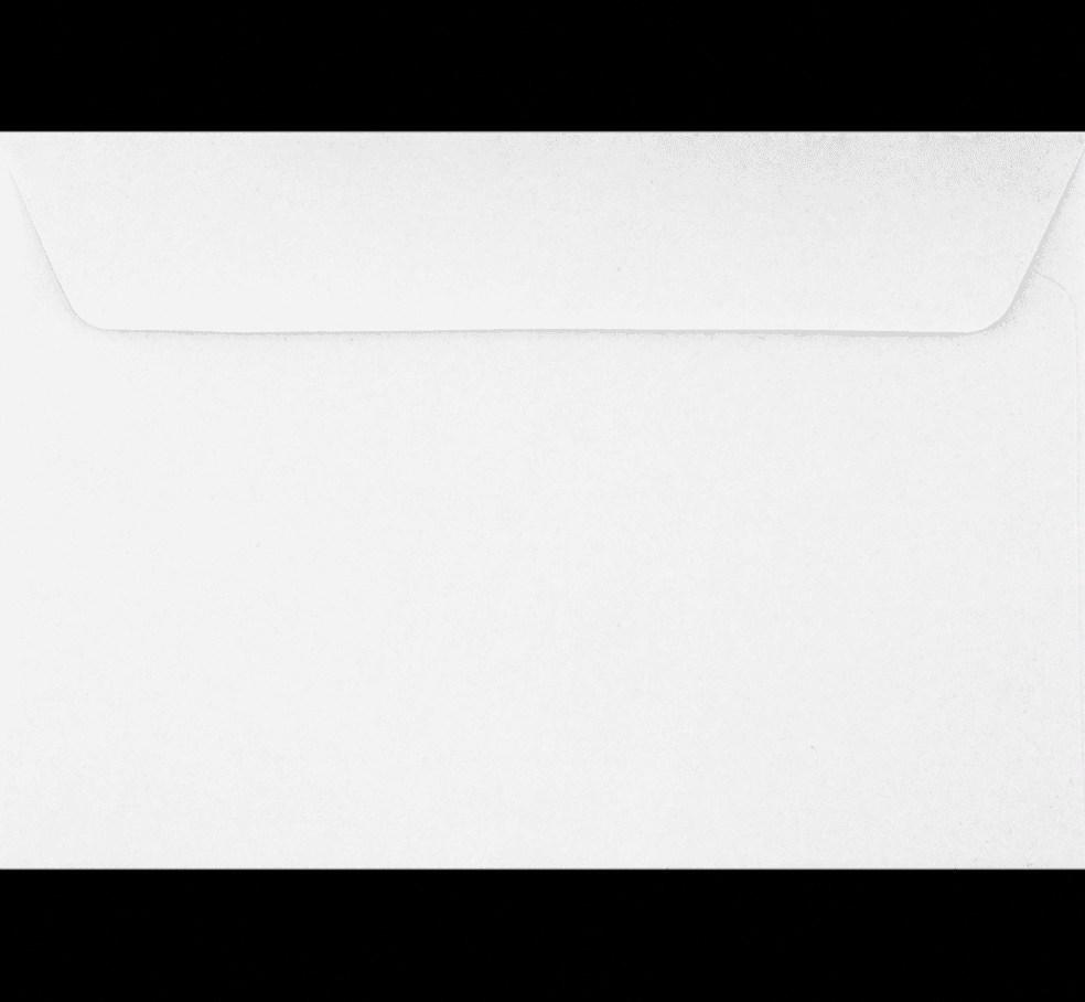 Luxpaper Booklet Envelopes, Professional Mailing Supplies, Durable White Finish (6 in x 9 in, 250 Pack) bwkji
