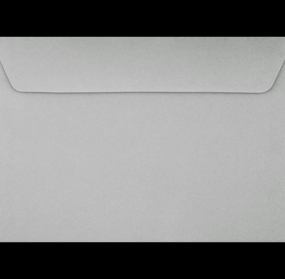 Luxpaper 6 in x 9 in Booklet Envelopes, Gray Kraft (Gray, 50/Pack) wm329