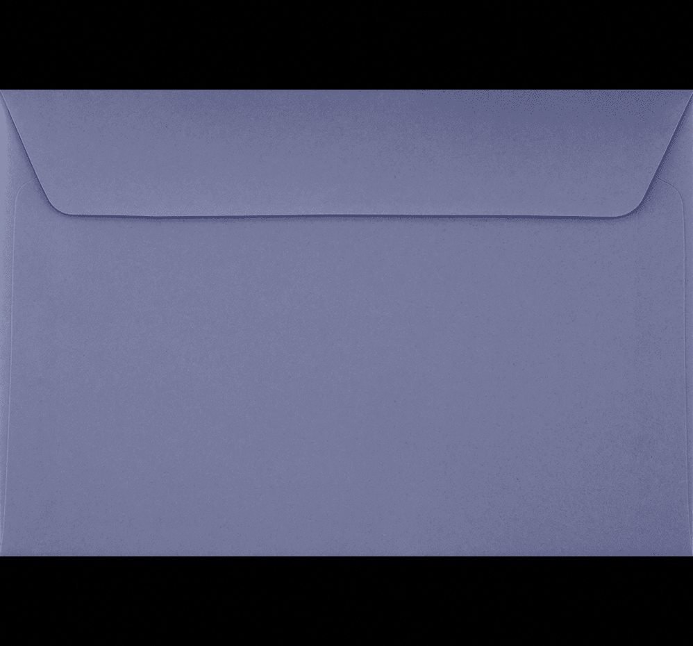 Luxpaper Booklet Envelopes, Professional Mailing Supplies (Wisteria, 6 in x 9 in, 250 Pack) rn89m