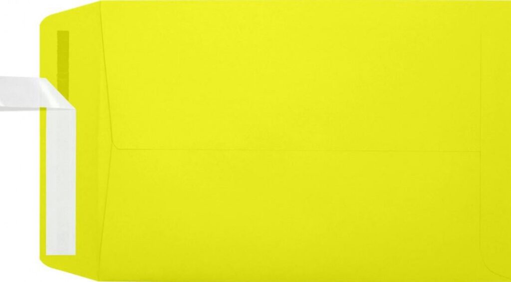 Luxpaper Open End Envelopes, Professional Mailing Supplies (Citrus, 6 in x 9 in, 50/Pack) r93ab