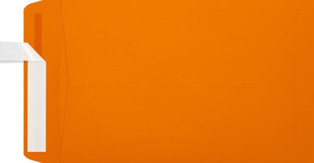 Luxpaper Open End Envelopes (Mandarin, 6 in x 9 in, 50 Pack) arbpg